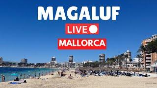 LIVE in Magaluf, Mallorca (Majorca)  | 22 June 2024