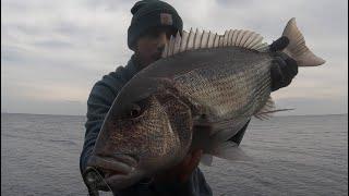 Un grosso DENTICE dal fondo! - DEEP SPINNING in ITALIA - A BIG SNAPPER from the bottom!