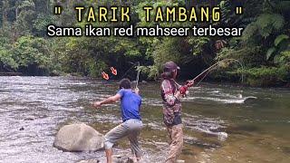 Pecah rekor red mahseer terbesar 2024 Tarikan-Nya bikin kaki gemetaran..!!