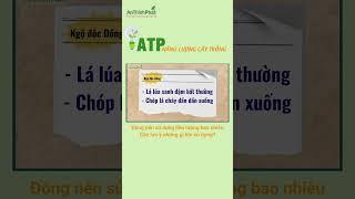 SỬ DỤNG ĐỒNG VỚI LIỀU LƯỢNG BAO NHIÊU MỚI ĐẠT HIỆU QUẢ | An Thịnh Phát