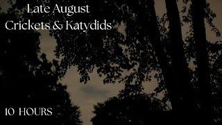 Late August night crickets & katydids, 10 hour cricket sounds katydid sound  dark screen sleep relax