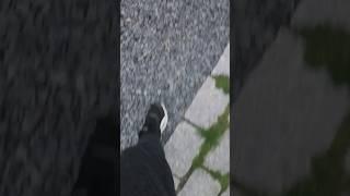 Random asmr Footsteps Walking #asmrsounds #asmr #shorts