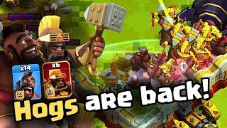 HOGS are BACK and OP in Legend's League! | TH16 best attacks.