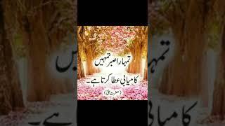 "Iصبر اور کامیابی" #quotes  #quotesofhazrataliinurdu  #quotesofwisdom