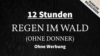 Regen in der Natur (Ohne Donner) 12 Stunden | Blackscreen | Regengeräusche zum Einschlafen