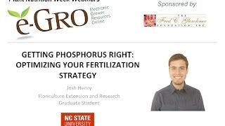 Getting Phosphorus Right: Optimizing Your Fertilization Strategy