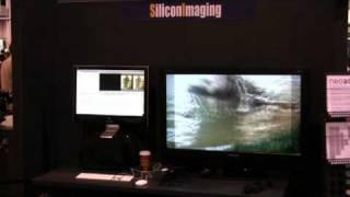 NEO3d At NAB 2009