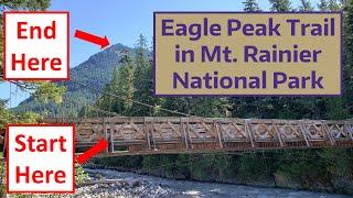 Eagle Peak Trail in Mt. Rainier National Park