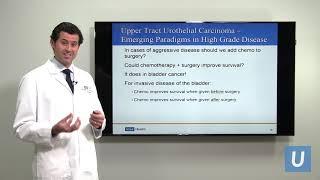 Emerging Therapies for Upper Tract Urothelial Carcinoma | Nicholas Donin, MD | UCLAMDChat