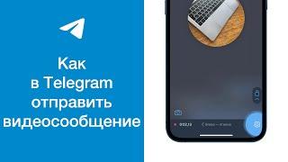Как в Telegram отправить видеосообщение (отправка «круглого» видео в Телеграме)