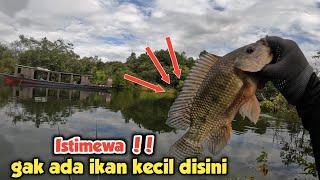 STRIKE NILA BABON SEMUA‼️Mancing nyobok terbaru di waduk riam kanan