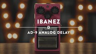 Ibanez AD-9 Analog Delay | Reverb Demo Video