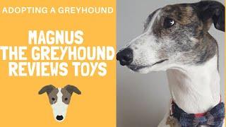 Dog Toys reviewed by Magnus the Greyhound