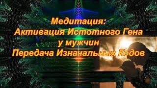 Медитация: Активация Истотного Гена у Мужчин. Передача Изначальных Кодов