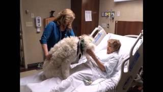 Training Video for Therapy Animal Teams at Ogden Regional Hospital