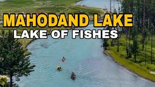 Mahodand Lake Kalam | Waterfall | Saifullah Lake | Lake of Fishes | Travel Vlog