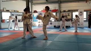 Taekwondo Midleton - Grading