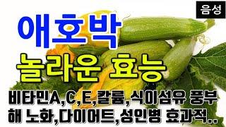 [애호박 효능] 애호박으로 얻는 건강한 삶!  비타민과 미네랄이 풍부한 슈퍼푸드