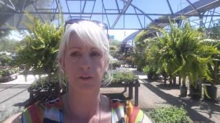 Civano Nursery