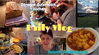 Daily Vlog/ Zitronen-Buttermilch-Kuchen / Gulasch-Gemüseeintopf/Familie ist wieder da/Mamaalltag