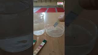 How to use pH Strips // pH paper testing // pH Strips test // pH Scale #shorts #anjus_science