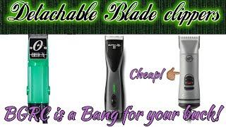 Detachable Blade Clippers history should you buy one in 2024? bgrc classic 76 Supra zr2 andis