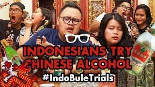 IndoBuleTrials: Indonesians Try Chinese Alcohol | Chinese New Year Edition!