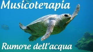 Musicoterapia + Rumore Dell'acqua + Natura + Uccelli + Da Massaggio + Per Yoga