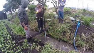 FURANDO POÇO ARTESIANO NO BRAÇO  - AGUA BOA COM "5,30" METROS DE FUNDURA AQUI TEM!!!