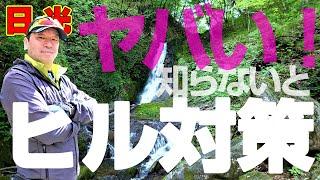 日光 【知らないとヤバい！ヒル対策】ヤマビルはこう防ぐ！完璧・おすすめの服装と対処法、噛まれた時の処置を解説！