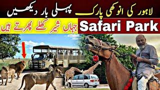 Zoo Safari park Lahore/amazing place for picnic/ lions park/ animals and lions/iftikhar Ahmed Usmani