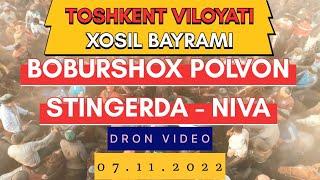 BOBURSHOX POLVON TOSHKENT VILOYATI XOSIL BAYRAMIDA STINGER NOMLI OTDA NIVA + 5000000 sum MARRA QILDI