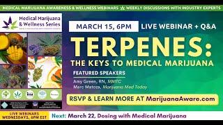 Terpenes: The Key to Medical Marijuana - March 15, 2023