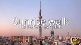 Japan walking video | Witness Tokyo's Sunrise Magic | Tokyo Skytree walk & Oyokogawa Park (4K)