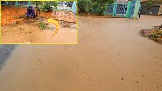 Severe Flooding Hits Road, House, Draining A Massive Flooded Road