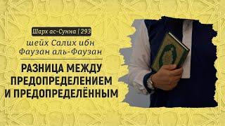 Разница между предопределением и предопределённым | Шейх Салих аль-Фаузан | Шарх ас-Сунна (293)