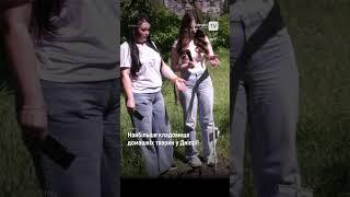Найбільше кладовище домашніх тварин у Дніпрі!