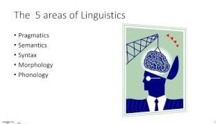 #4 Areas of Linguistics