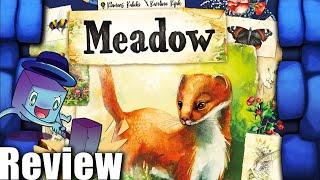 Meadow Review - with Tom Vasel