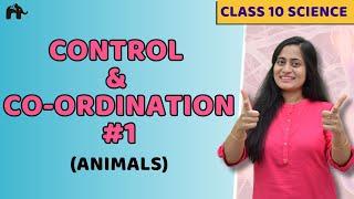 Control And Coordination Class 10  NCERT Chapter 7 #1 | Endocrine , Nervous system in Animals | CBSE