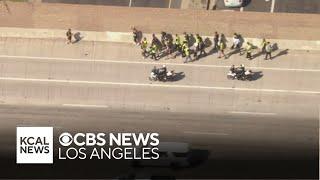 A group of pro-Palestinian protesters march onto 405 Freeway in West LA