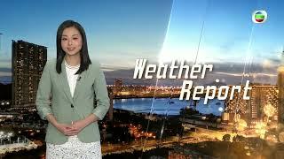 TVB Weather Report | 31 Jan 2024