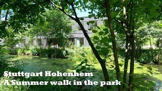 Stuttgart | Germany | Hohenheim University | A Summer walk in the Park.