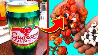 10 Unusual Soda Drinks from Around the World