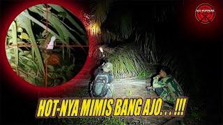 MAAF TARGET, GAK SENGAJA  !! BERBURU BURUNG RUAK RUAK MALAM HARI !! HUNTING BIRD WITH PCP !!