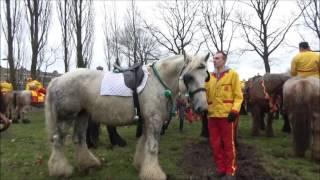 Mijn Dorp -ganzenrijders in ons dorp