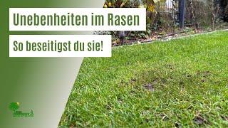 Unebenheiten im Rasen | So beseitigst du Löcher und Hügel im Rasen | Rasen wieder eben machen