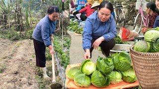 clean up the vegetable garden - harvest cabbage to sell - cook simple meals