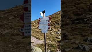 Val di Fiemme - Passo Manghen, Cima Ziolera, Lago di Montalon, Lago delle Buse - 5 agosto 2022