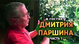 В гостях у Дмитрия Паршина Часть 1. Необычайно красивый и большой палюдариум.